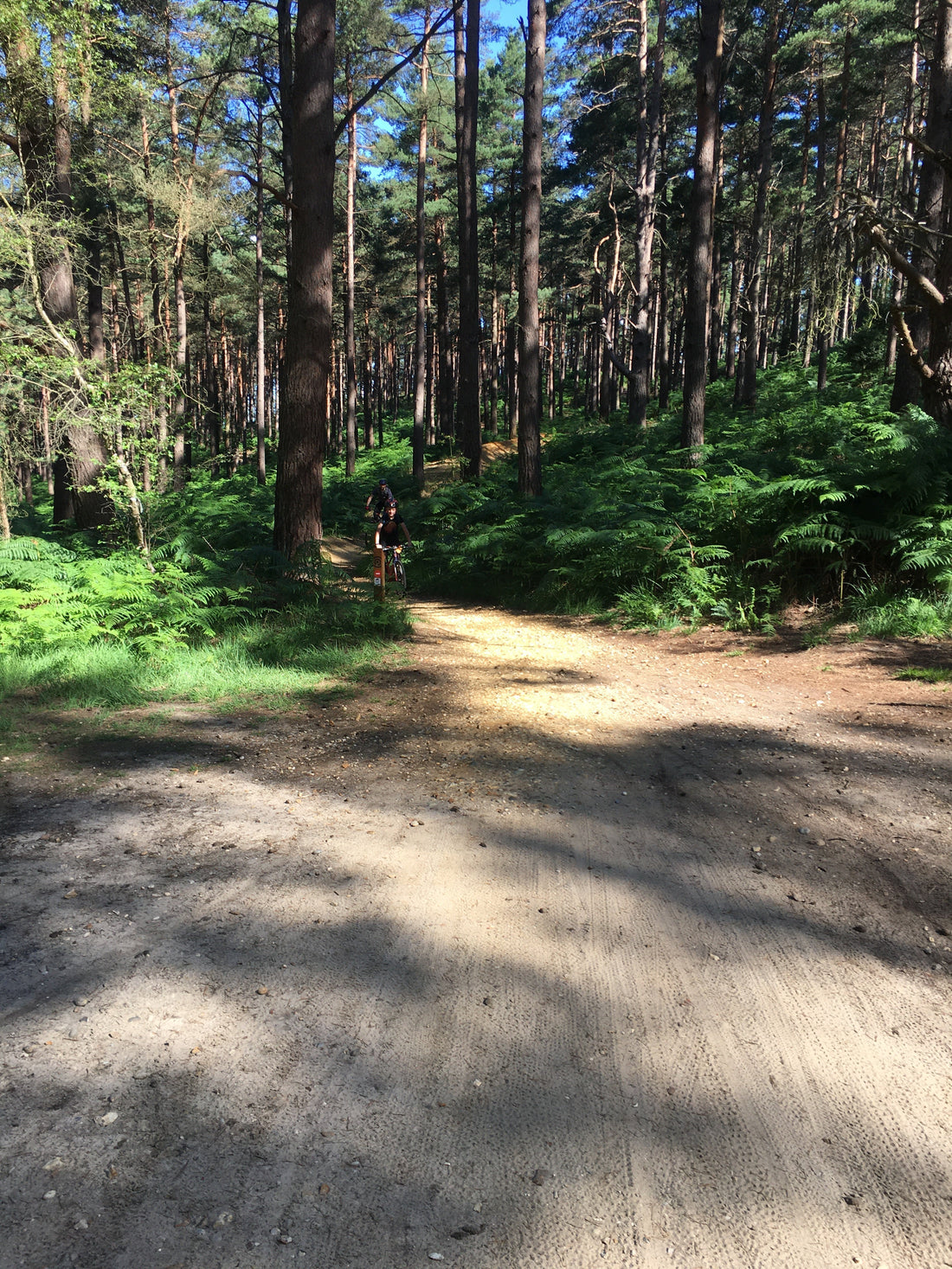 Embrace the Local Mud: Finding Grit Close to Home