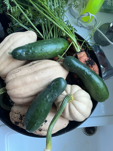 Mabon: The Dividends of the Dark Half